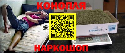 мяу мяу мука Будённовск