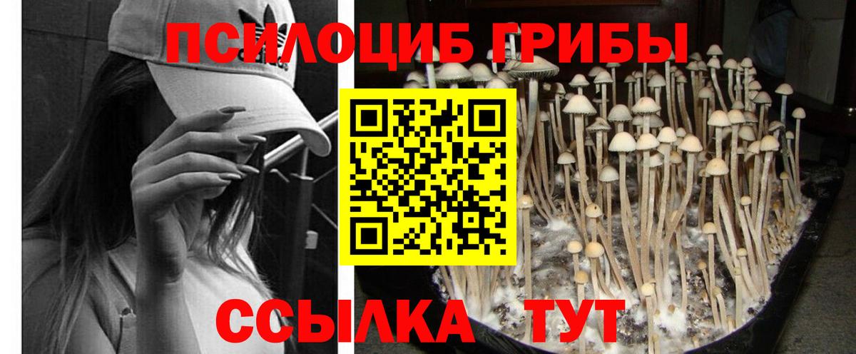 Старая Купавна  Псилоцибиновые грибы Cubensis  магазин  наркотиков  Вход с VPN 