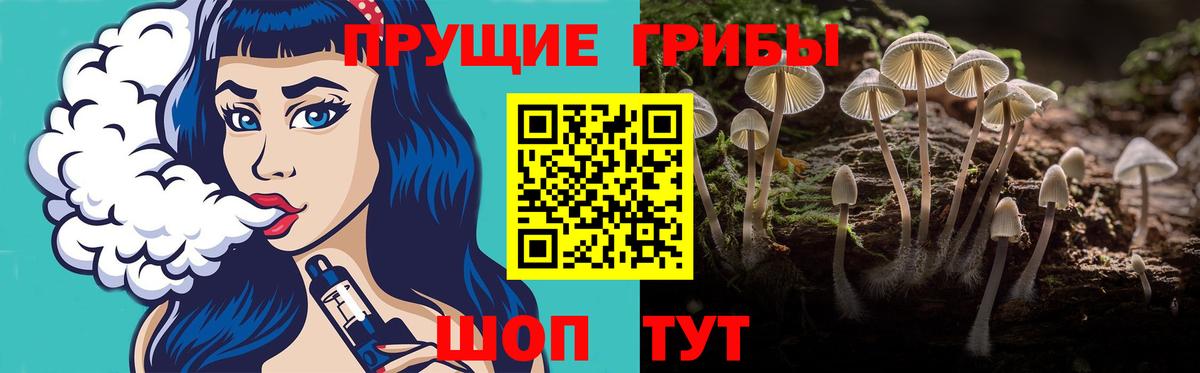 Псилоцибиновые грибы MAGIC MUSHROOMS Старая Купавна