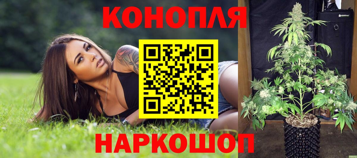 Бошки Шишки White Widow  Каннабис MAZAR  Бошки марихуана THC 21%  Старая Купавна  Вход с VPN  Конопля план 